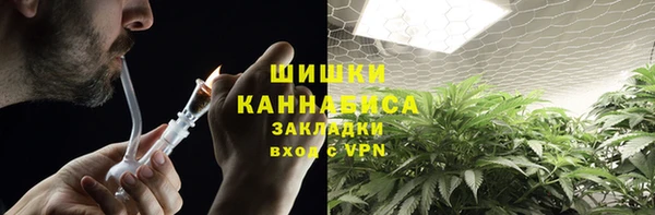 хмурый Бердск
