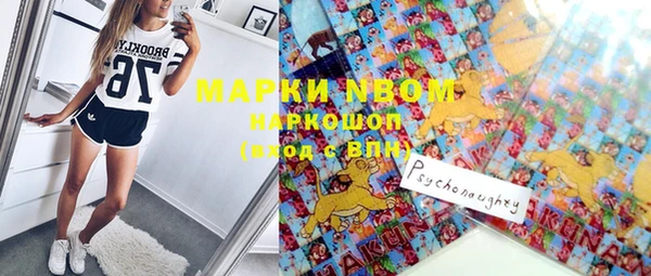 молекула духа Лабытнанги