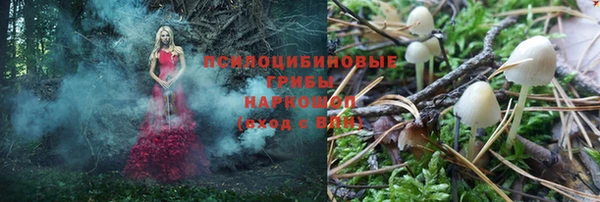 apvp Липки
