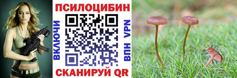 KRAKEN ссылка  Ликино-Дулёво  Галлюциногенные грибы Psilocybe 